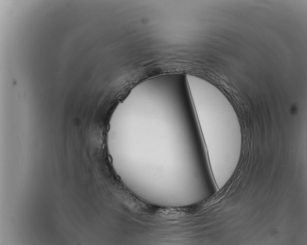 X0000091520331200708171015