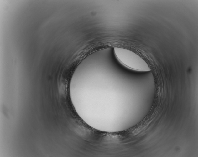 X0000091520332200708171015
