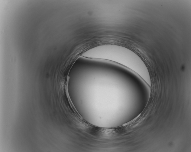 X0000091520333200708171015
