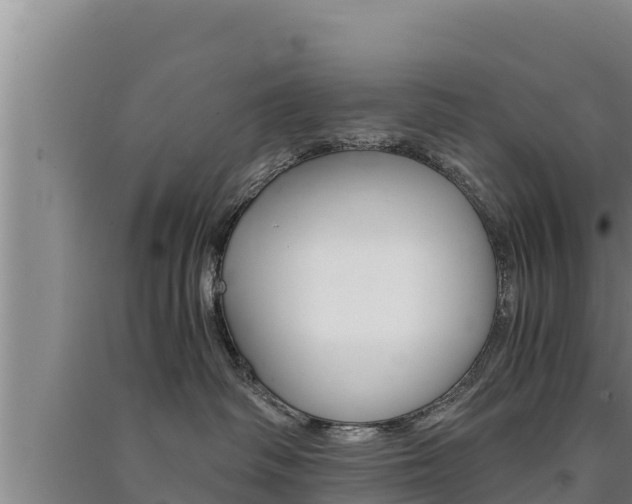 X0000091520334200708171015