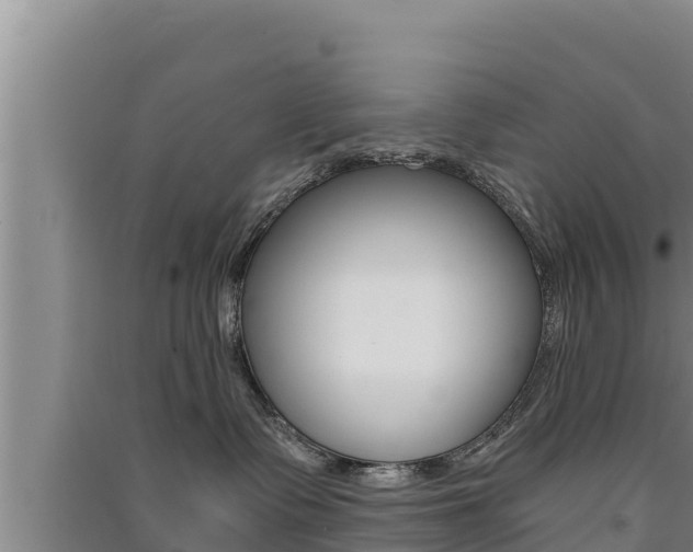 X0000091520335200708171015