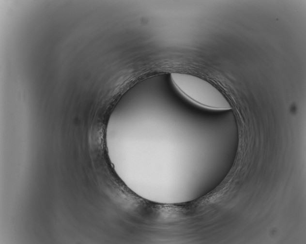 X0000091520336200708171015