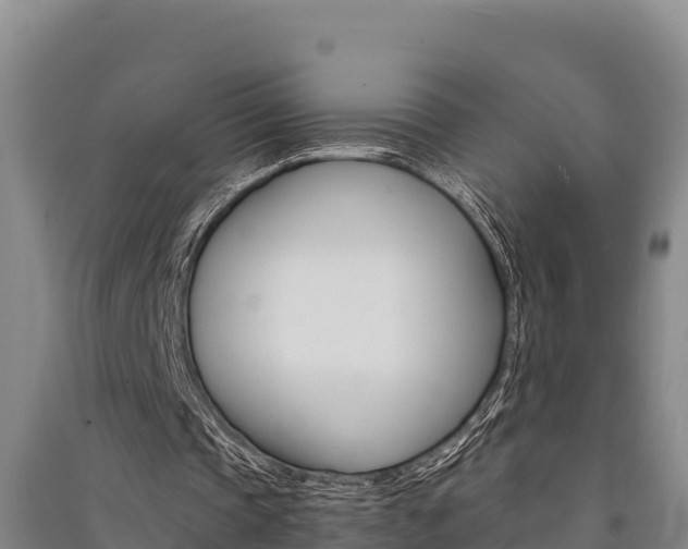 X0000091520337200708171014