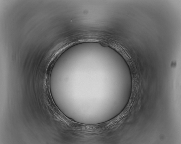 X0000091520338200708171014