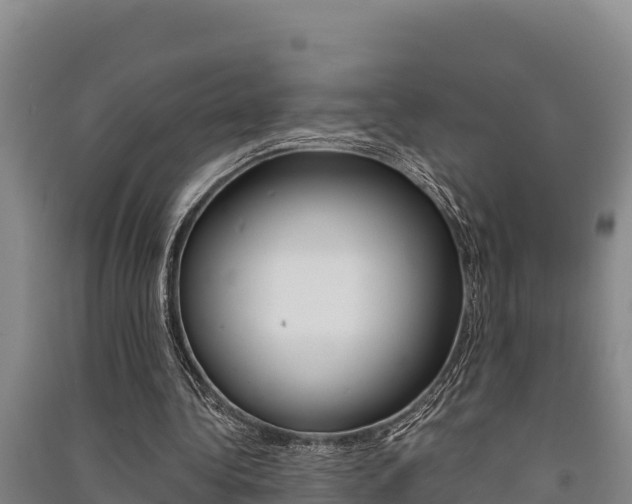 X0000091520340200708171014