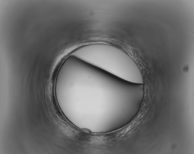 X0000091520342200708171014