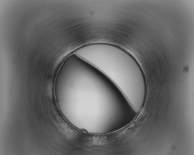 X0000091520345200708171014