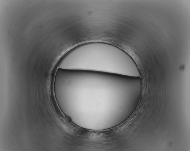 X0000091520346200708171014