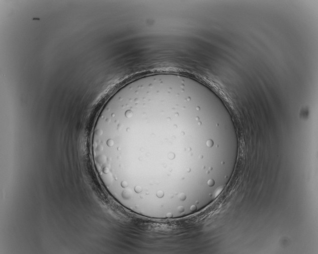 X0000091520347200708171014