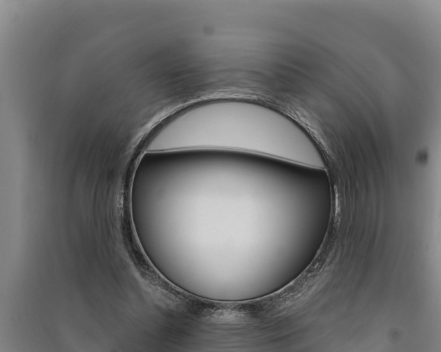 X0000091520348200708171015