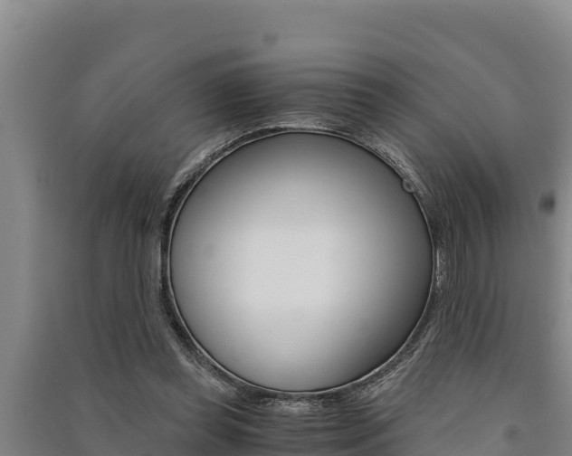 X0000091520349200708171015