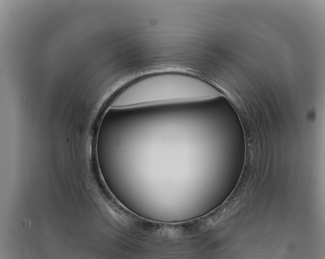 X0000091520350200708171015