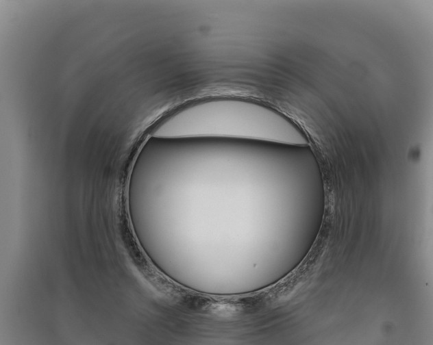 X0000091520352200708171015