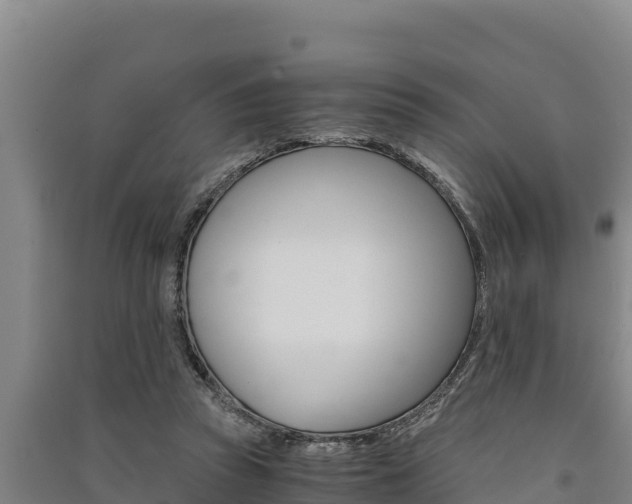 X0000091520353200708171015