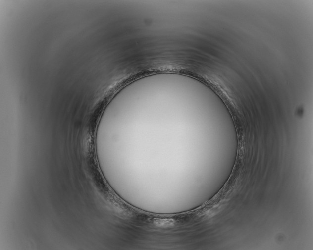 X0000091520355200708171015