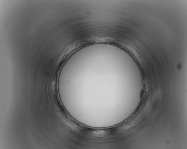 X0000091520357200708171015