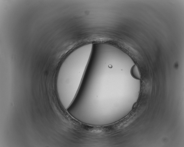 X0000091520358200708171015