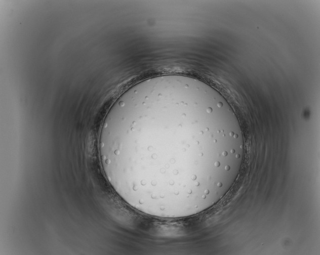 X0000091520359200708171015