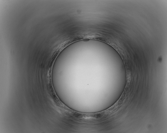 X0000091520360200708171015