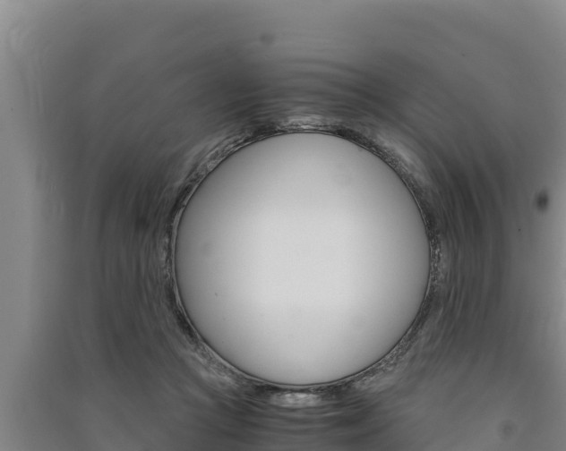 X0000091520361200708171015