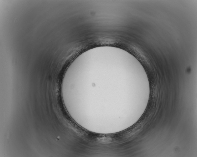 X0000091520362200708171015
