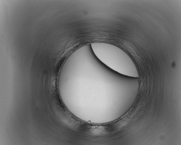 X0000091520363200708171015