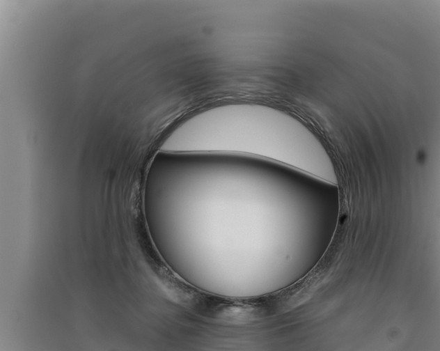 X0000091520364200708171015