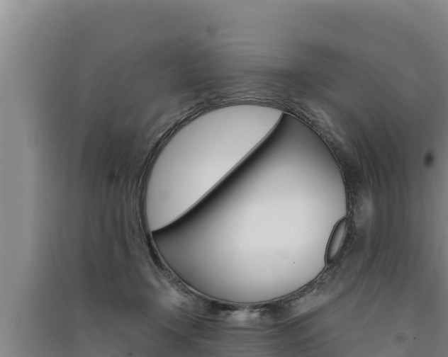 X0000091520366200708171015