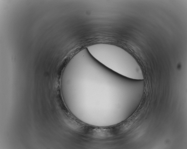X0000091520367200708171015