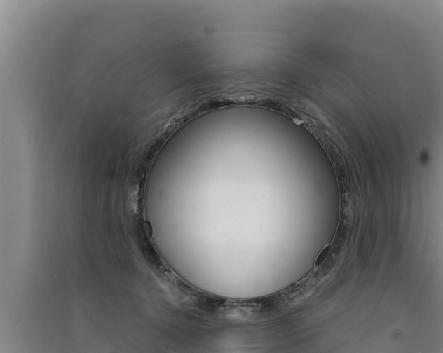 X0000091520368200708171015