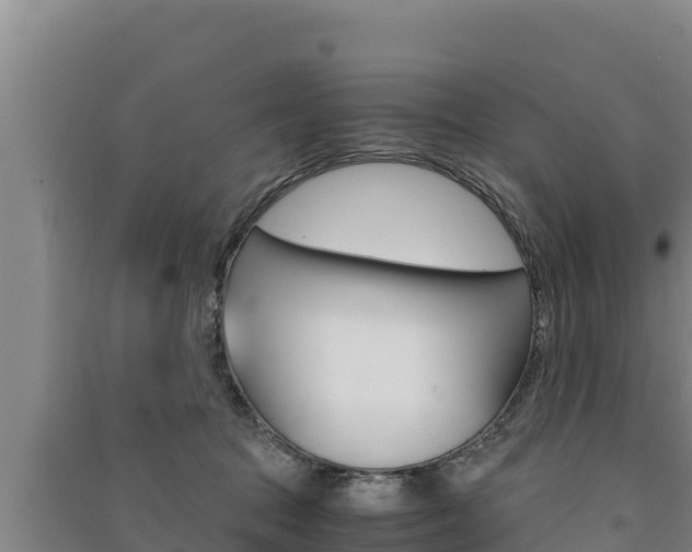 X0000091520369200708171015