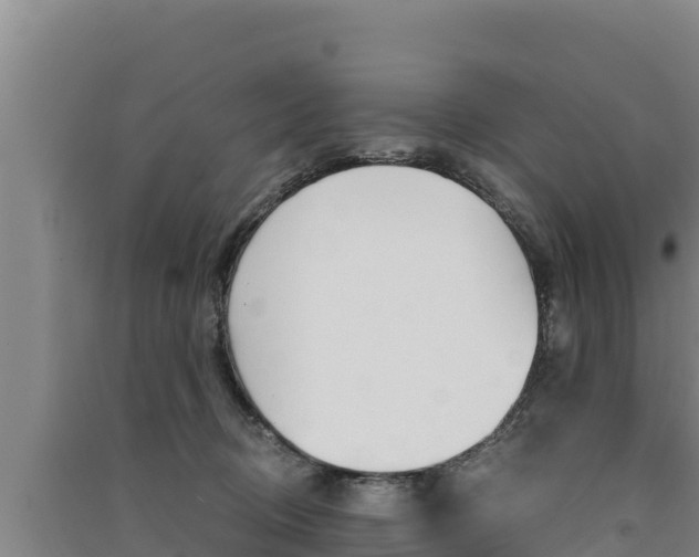 X0000091520370200708171015