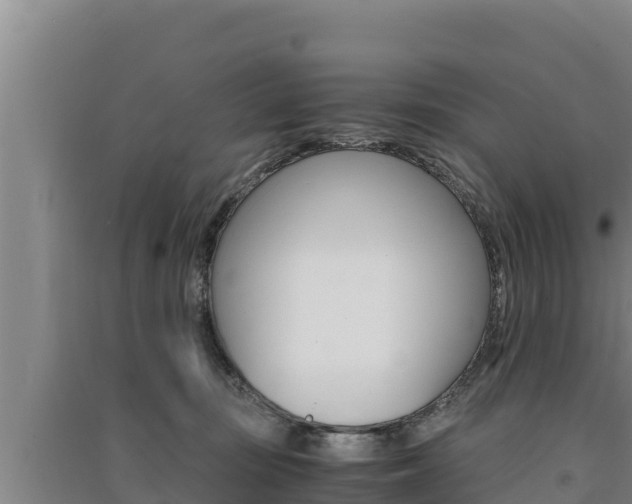 X0000091520371200708171015
