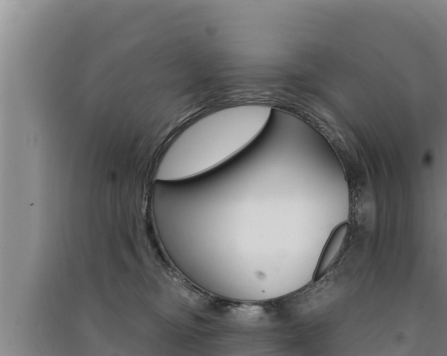 X0000091520374200708171015