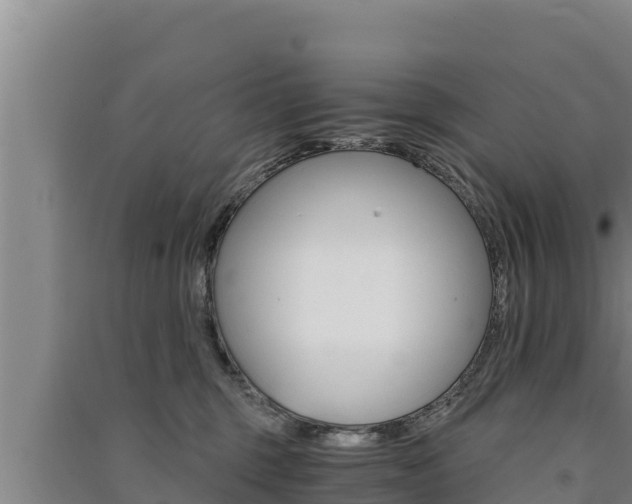 X0000091520375200708171015