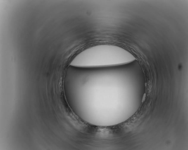 X0000091520376200708171015