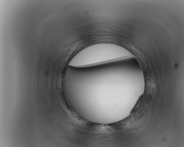 X0000091520379200708171015