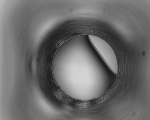X0000091520383200708171015