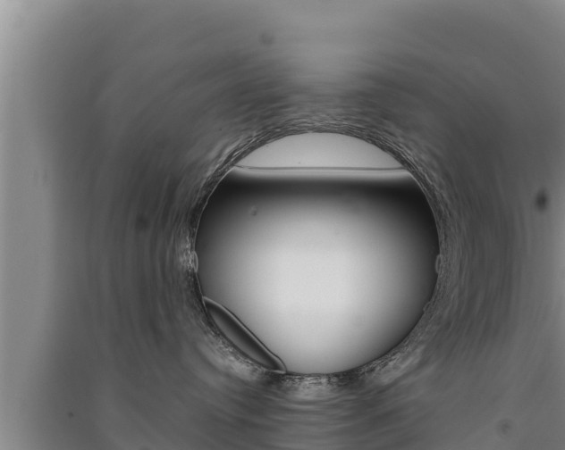 X0000091520384200708171015