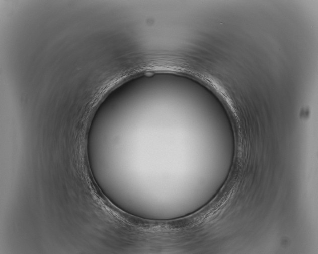 X0000091520385200708171014