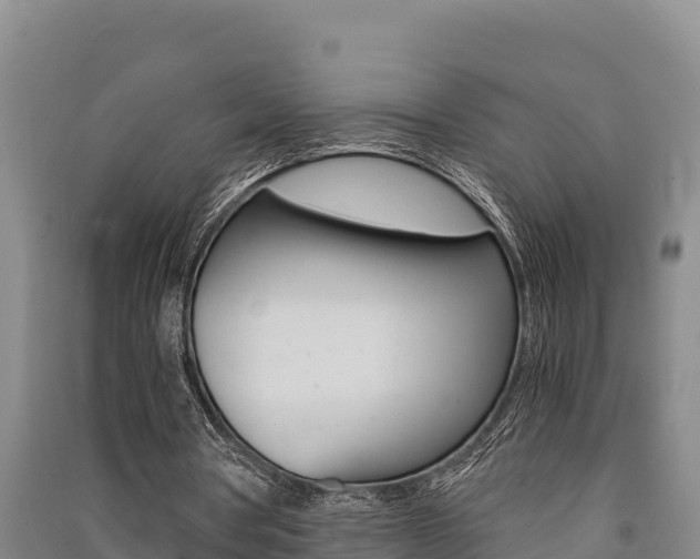 X0000091520386200708171014