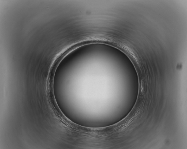 X0000091520388200708171014