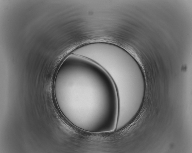 X0000091520389200708171014