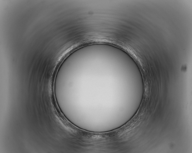 X0000091520390200708171014