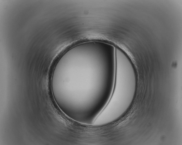 X0000091520391200708171014