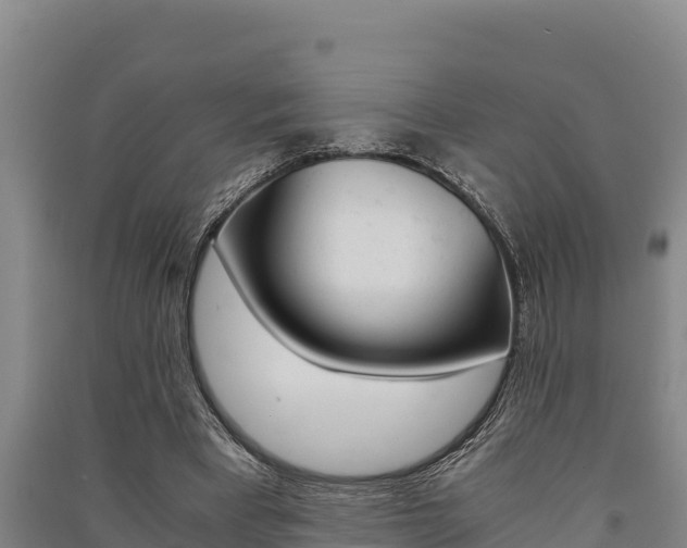 X0000091520393200708171014