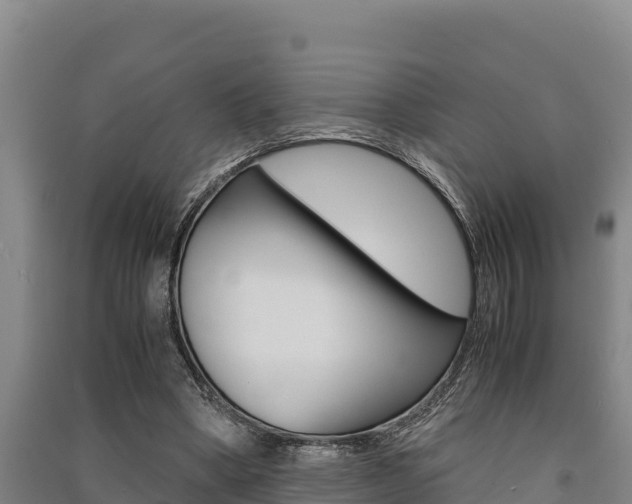 X0000091520394200708171014