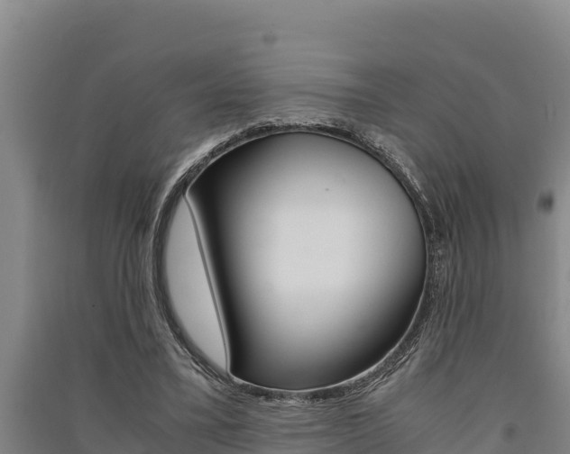 X0000091520395200708171014