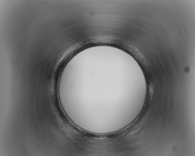X0000091520396200708171014