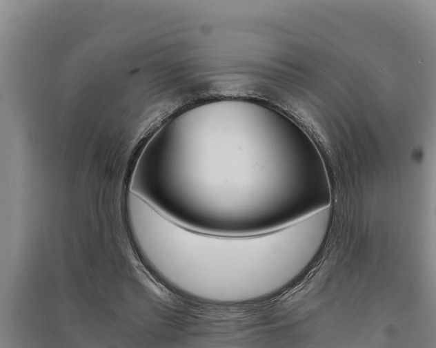 X0000091520397200708171014